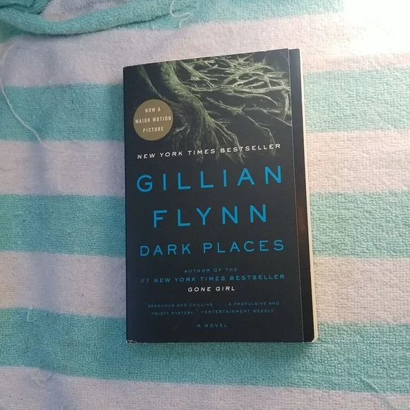 Dark Places by Gillian Flynn - Picture 1 of 6